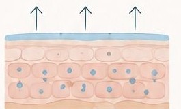 Protective film on skin surface
